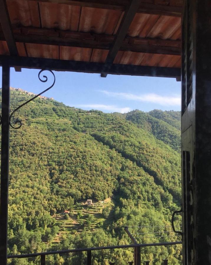 House In The Medieval Village Apricale Bagian luar foto