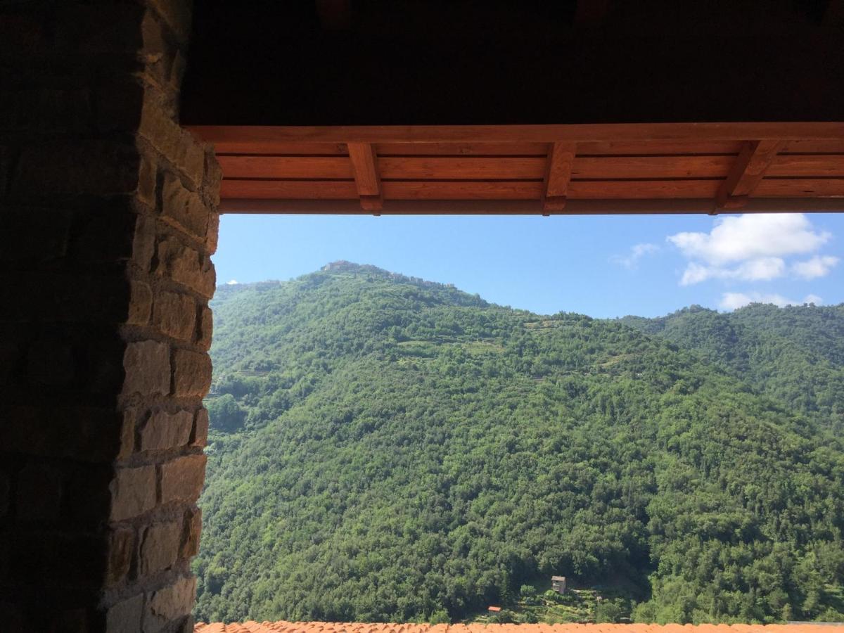 House In The Medieval Village Apricale Bagian luar foto