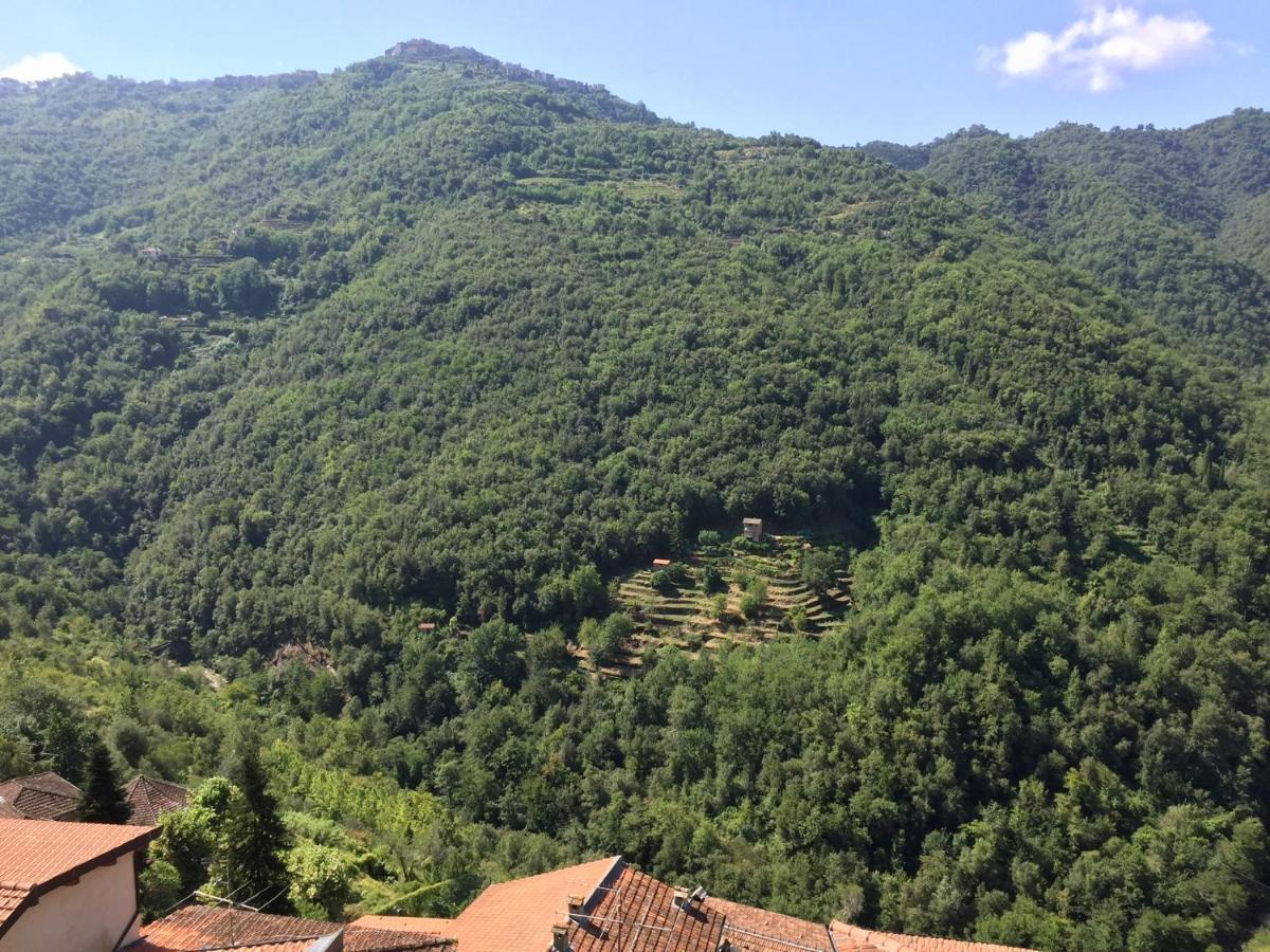 House In The Medieval Village Apricale Bagian luar foto