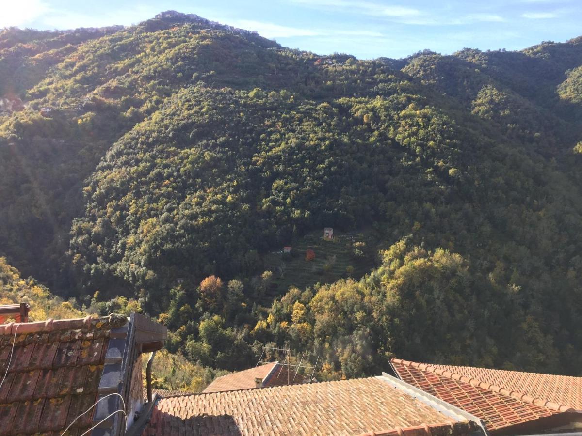 House In The Medieval Village Apricale Bagian luar foto