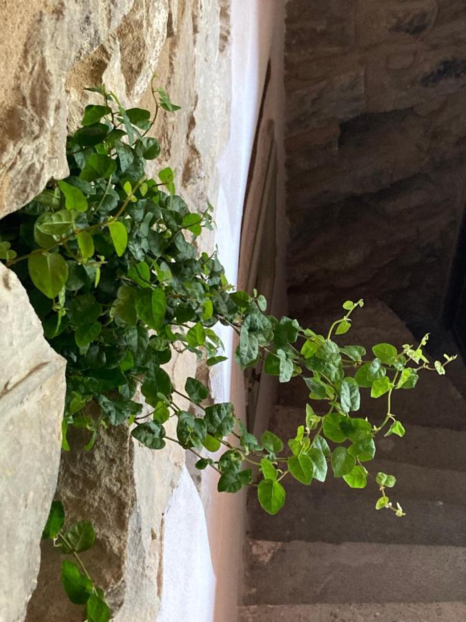 House In The Medieval Village Apricale Bagian luar foto