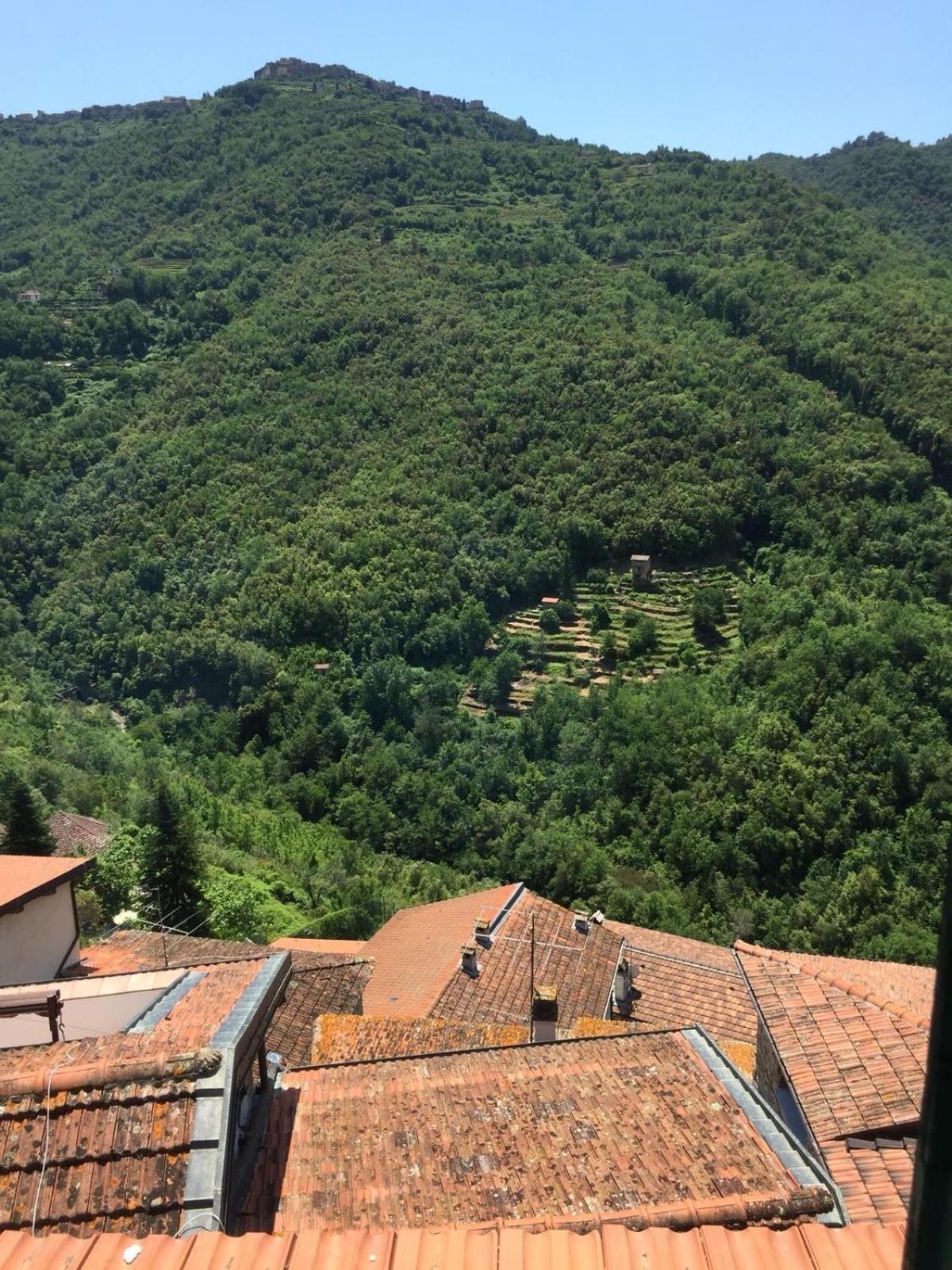 House In The Medieval Village Apricale Bagian luar foto